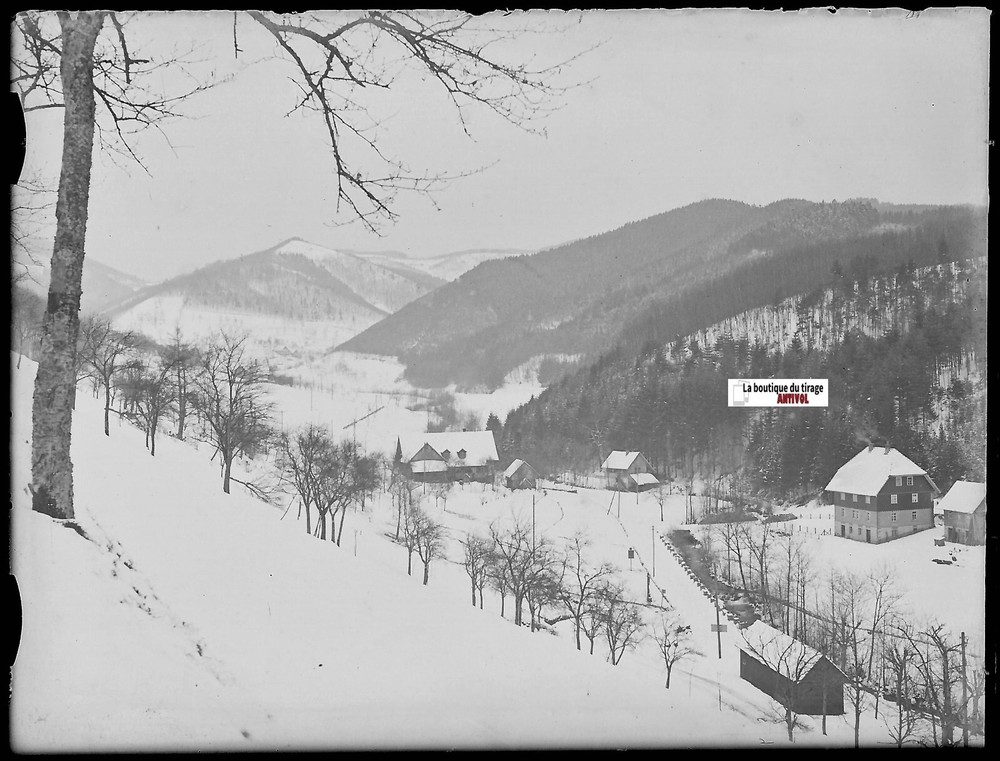 Landscape, Mountain Winter, Plate Glass Photo, Negative Antique Black & White