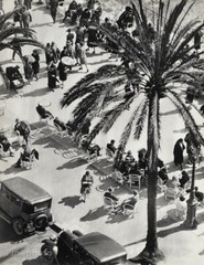 1932 Original Martin Munkacsi Palm Tree Cars People Boardwalk Vintage Photo Art