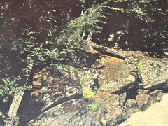 REAL ENLARGED PHOTO MAN FISHING IN STREAM 16.5″ X 30.5″ CARDSTOCK INSTANT UNCLE