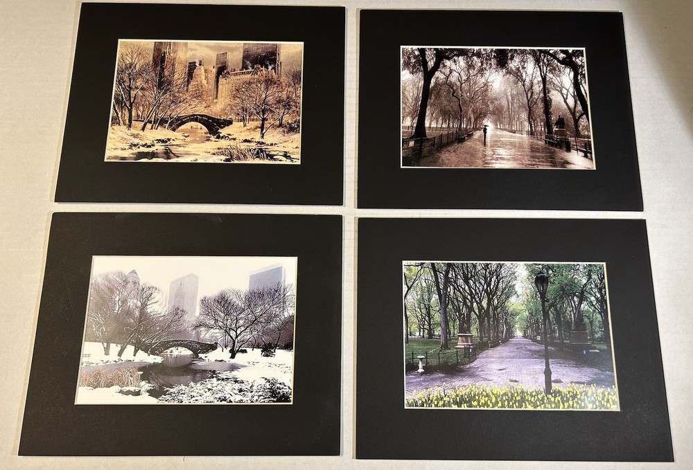Lot Of 4 Matted Photo Prints Of NYC New York City Central Park – 8×10