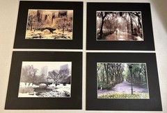 Lot Of 4 Matted Photo Prints Of NYC New York City Central Park – 8×10