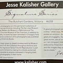 Jesse Kalisher Signed “The Butchart Gardens” Tulip Photo Framed
