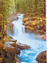PNW Landscape Waterfall Art Forest River Photographic Metal Print 11×14 Signed