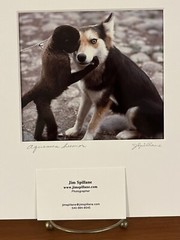 Jim Spillane Photography ‘Aquaeous Humor’ Dog & Monkey Matted & Signed