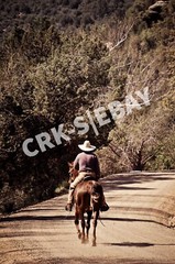 COWBOY PHOTOGRAPHY PRINT