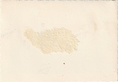 Vintage Photos Bundle Various Ships