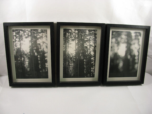 California Redwoods Triptic B&W Original Handmade Art Photographs Framed