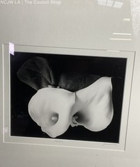 Callas By JC Evans 2002 Framed Signed Photograph