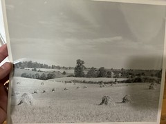 Arthur Gray Standard Oil Photographer Cleveland Ohio Americana Haystacks Monet!!