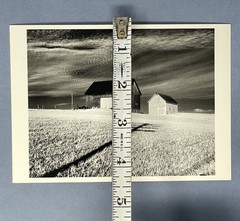 Minor White Art Photo Print Card By Fotofolio – Vicinity Of Danville NY, 1955