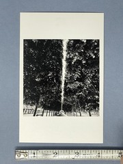 Bruce Davidson (b. 1933) Magnum Art Photo Print Card 4×6” Palais-Royal Garden