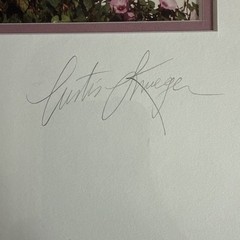 Curtis Krueger Signed Limited Edition Photo Framed Floral Window 1991