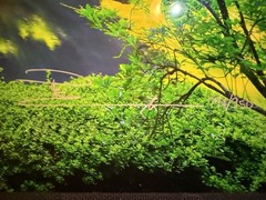Peter Lik Inner Peace 794/950