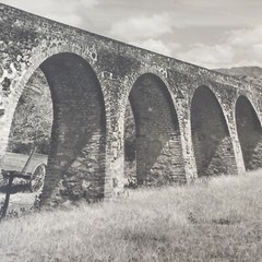 2pc Arched Bridges 1pc City Scene Photographs 20×16 Unframed 3 Prints Poster Brd