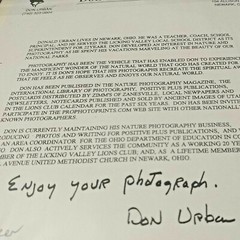 Buck Deer/Cades Cove/Smoky Mtns #031-Don Urban Orig. Nature Photography-12″X 16″