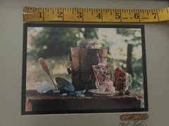 Art Gore Colorado Photographer Framed Artwork Strawberry Ice Cream Signed ‘73