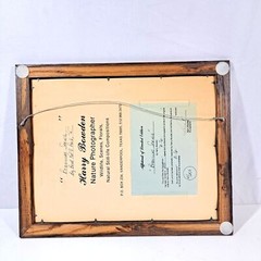 Harry Bowden “Boquillas Spring” Framed Photo & Matted Limited Edition Signed