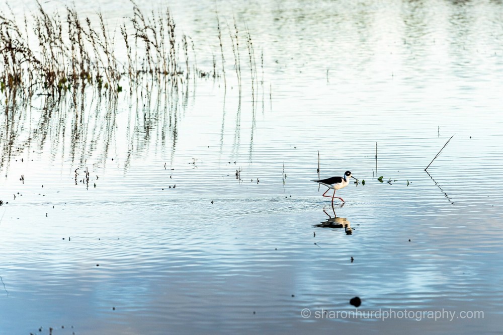Landscape photography print nature wall deco
