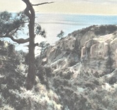 Lg VTG J.M. Garrison Hand Tinted Oil Color Photo Torrey Pines 12.5”x23.5” VGC