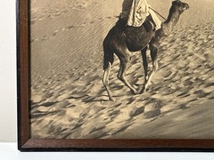 As Found Framed Lehnert & Landrock Panoramic Photo North African Desert Camel