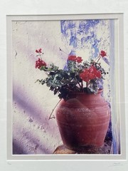 Signed Limited Edition Photograph Portuguese Flower Pot Portugal 2/250 Framed