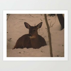 art print 28″ x 22″ Doe in the Snow sepia-toned winter snow deer animals nature