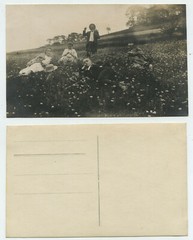 60896 – Summer Delights on the Flower Meadow – Country Lot – Undated Photo