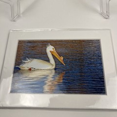 White Pelican Sea Bird Art Photography Matted 7×5 Inch Beach Decor Brauer