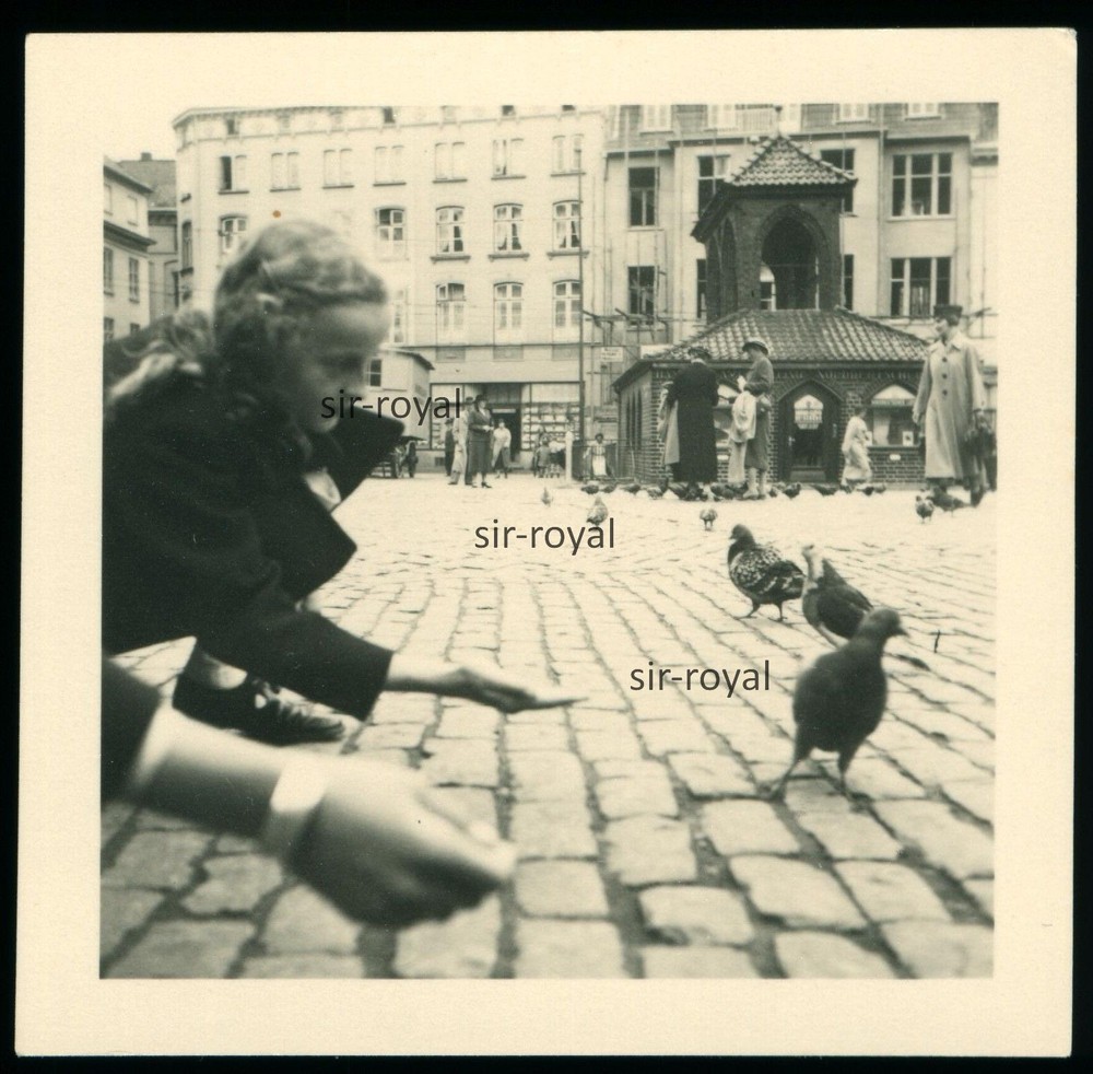 Probably Hamburg 1930s – Girl Feeding Pigeons in the City – Photo 6x6cm