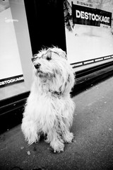 Artistic Analog Photo STREET PHOTOGRAPHY PARIS Size 30x45cm