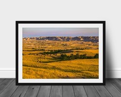 Buffalo photography print Badlands National Parks picture western wall art photo