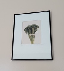 Michael Craven Fine Photography “Broccula” 1994 Signed Framed 70/300 Print 1998