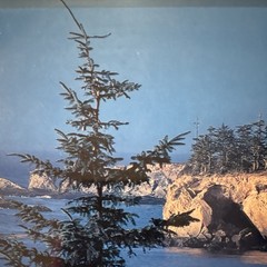 Intercraft Framed Color Photograph Glossy Lighthouse Coastline Nautical Decor
