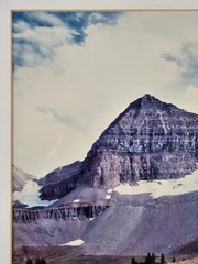 Signed Limited Edition Aaron Goldenberg 35mm Art Photograph, Utah 39×24 Framed