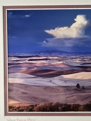 ART – Original Signed John Clement 35mm Photograph 16×13 Framed Modern Landscape