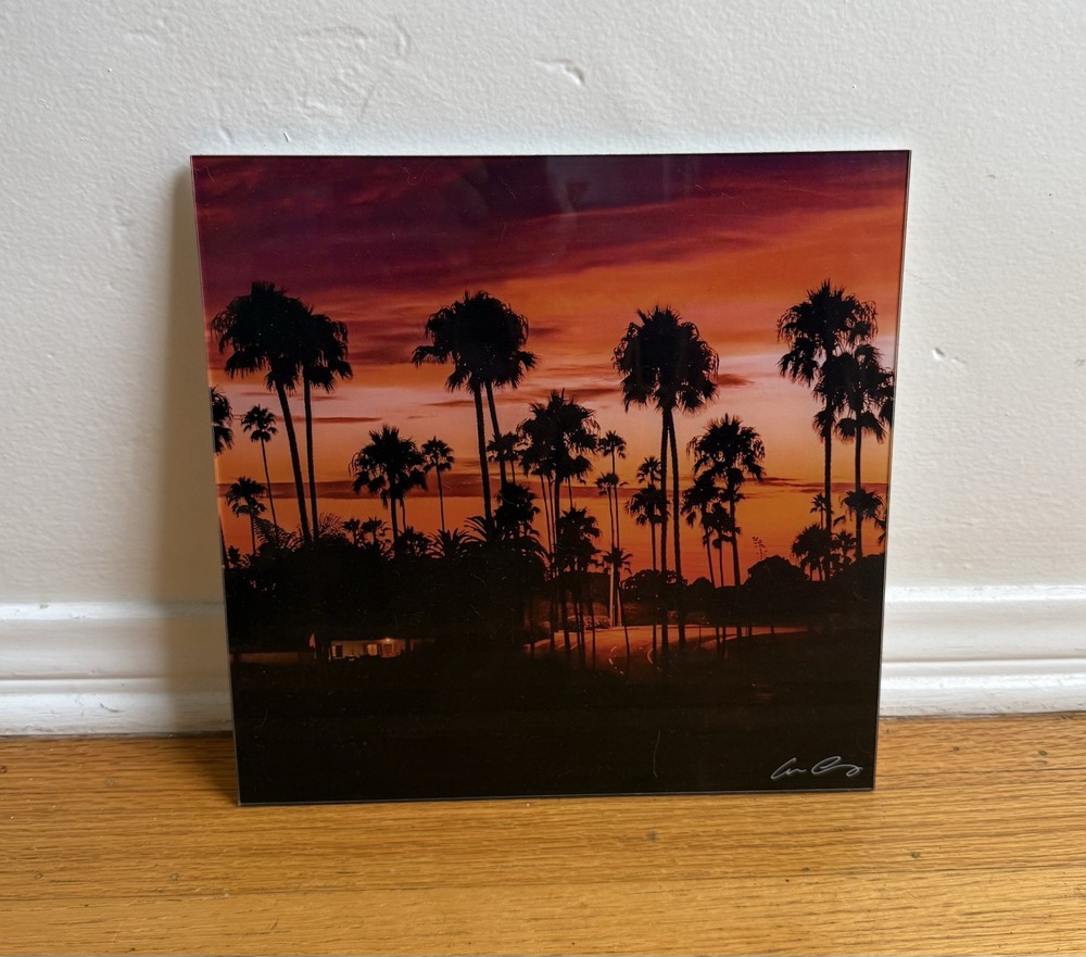 Aaron Chang Acrylic 12 By 12 – California Palm Trees