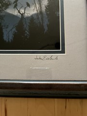 John Eveland Signed Wildlife Photo Wood Framed Birds In Tree Moon Mountain