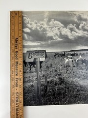 Vintage Large Black & White Photography Print Cattle Ranch Western Cowboys Rural