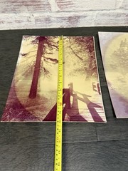Vintage Photographer Alexandre Nodopaka Photo California Signed Lot Of 3 Rare