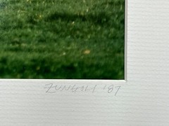 Oakland Horses Nick Zungoli Signed 1/300 Photo Photograph Horse Equestrian Art