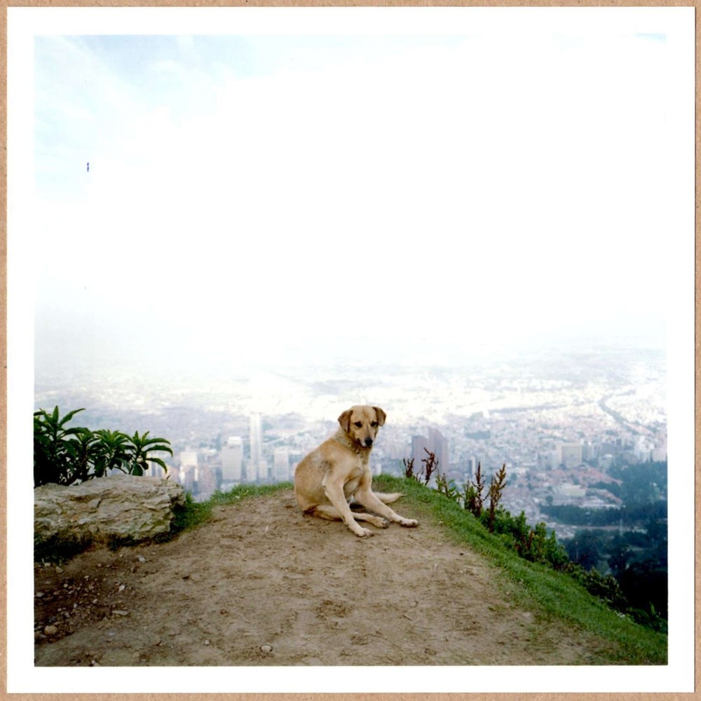 SIGNED ALEC SOTH DOG DAYS BOGOTA COVER IMAGE COLOMBIA 2003 LTD 6 x 6 MAGNUM