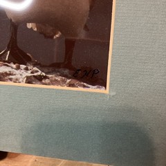 VTG 1982 Art Photography “Gannets Three” Sea Birds Matted Signed Beach Decor