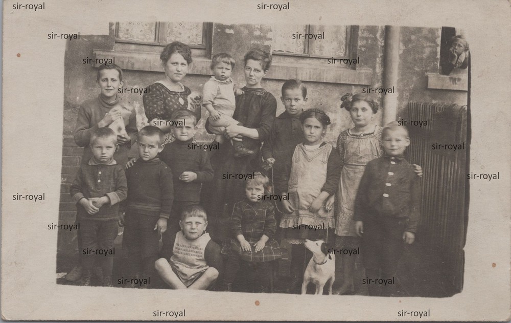 Chemnitz around 1920-children with cats and dog in the backyard-photo postcard 14x9cm