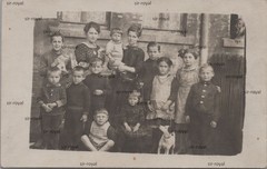 Chemnitz around 1920-children with cats and dog in the backyard-photo postcard 14x9cm