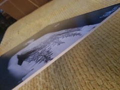 Original Photograph “Send in the Clowns” #1 Series 12″x18″ 2017 Print Art