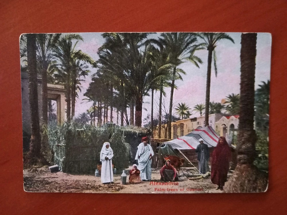 Postcard CPA Egypt/Egypt Palm trees of Gabbart