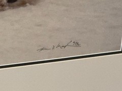 Thomas Mangelsen “Bad Boys of the Arctic” Polar Bears 714/3500 30″x45″ Signed