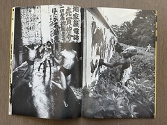 SALE! Mega RARE! William Klein – Uncommon 1967, Exhibition Catalogue, Vintage
