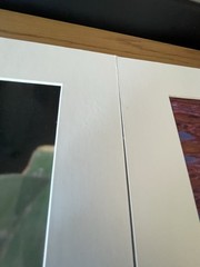 Matted Photographs 11″x 14″ Mixed Lot of 7 Photos Nature, Birds, Animals