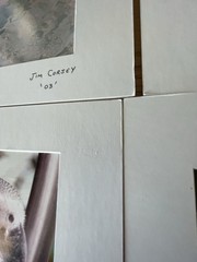 Matted Photographs 11″x 14″ Mixed Lot of 7 Photos Nature, Birds, Animals
